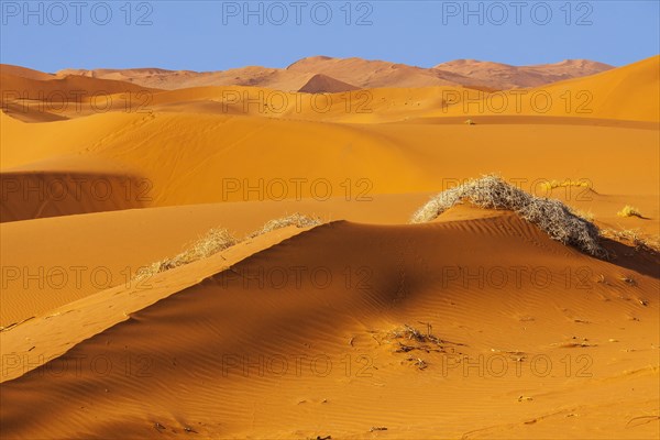 Sand dunes