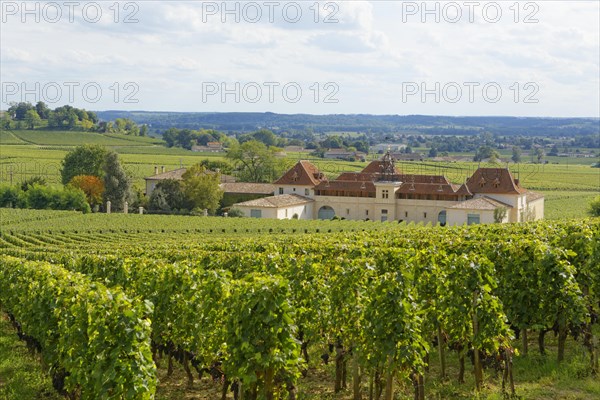 Bordeaux vineyard and Chateau Angelus