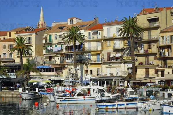 Row of houses with palm trees at the harbor