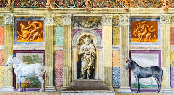 Representation of horses in the Sala dei Cavalli