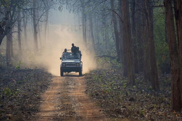 Tourists in off-road vehicle for safari driving on dusty forest track