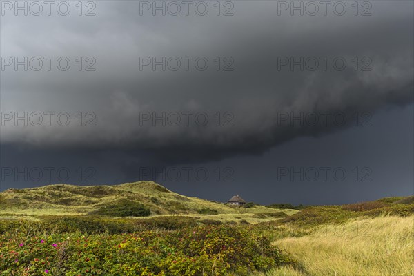 Dramatic storm clouds over dunes