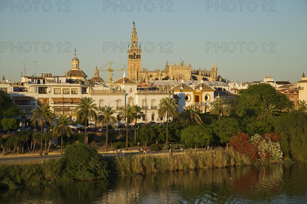 View over the Guadalquivir to the bullring and the cathedral