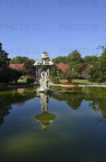 Swan Fountain