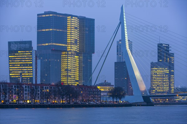 Skyline on the Nieuwe Maas river