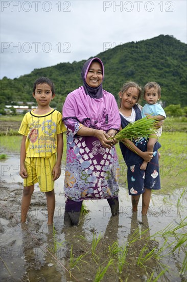 Rice farmer