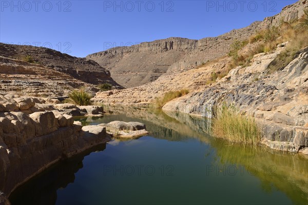 Water in a guelta at Idaran Canyon