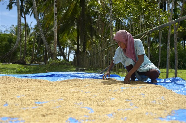 Young woman drying rice
