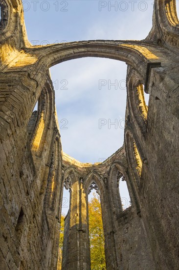 Romantic ruins of the monastery church on Mount Oybin