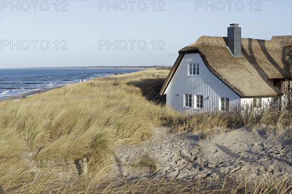 Thatched house on the beach