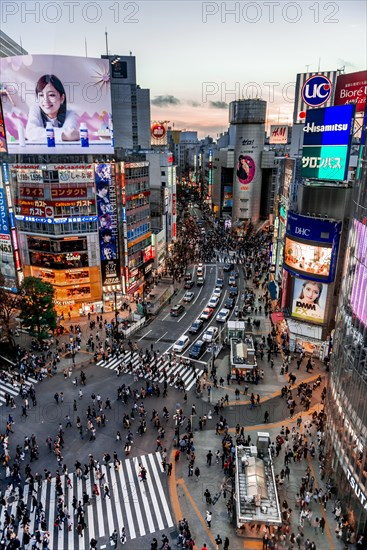 Shibuya Crossing from above