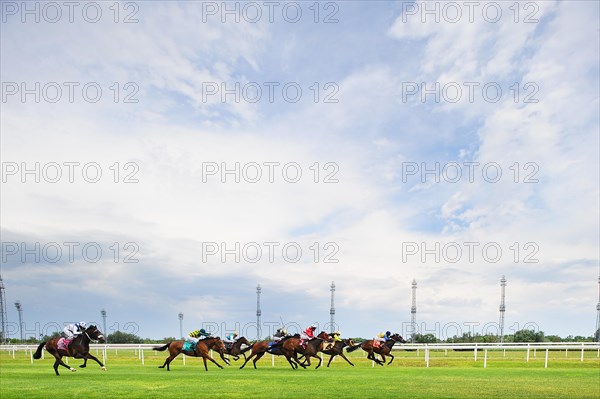 Horse racing on the track