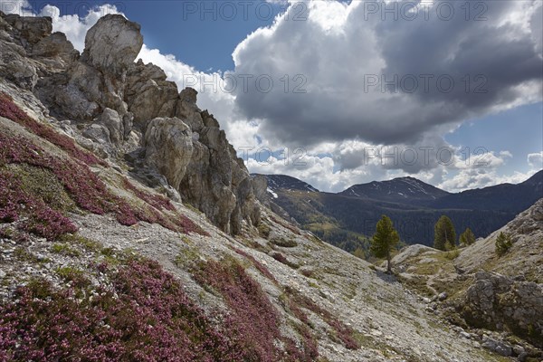 Rocks below Eisentalhohe