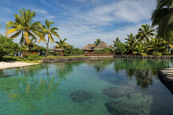Palm trees and Polynesian Bungalow reflected in the water