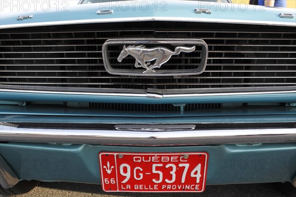 License plate