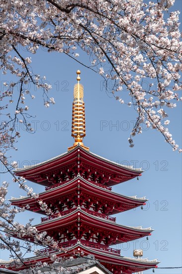 Five-story pagoda