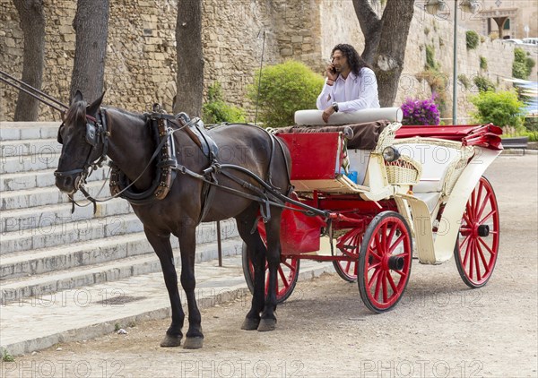 A driver waiting in his coach