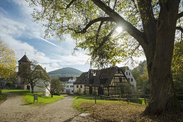 Hirsau