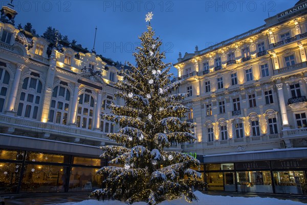 Christmas tree in front of Hotel Pupp