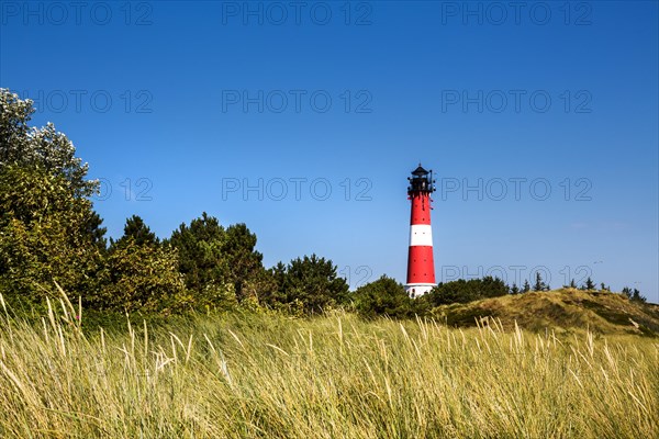 Dunes and lighthouse Hornum