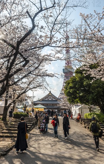 Zojoji Temple