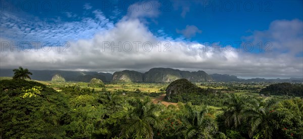 Tobacco fields and the Mogotes karst mountains