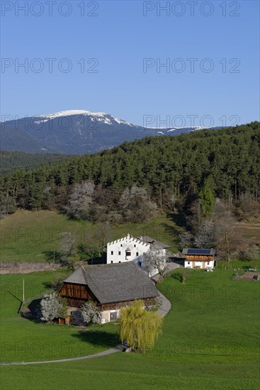 Old homestead