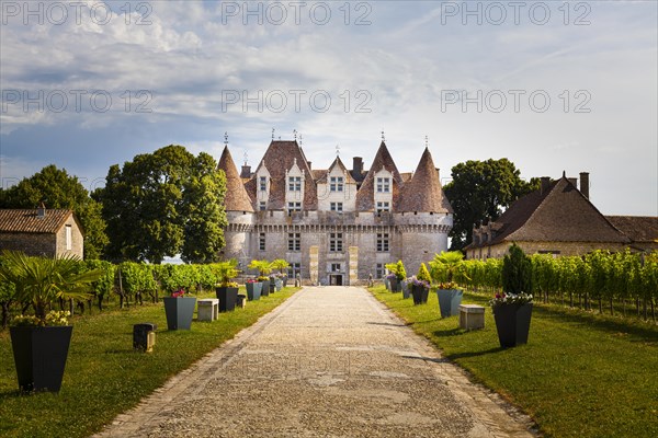 Gravel walk leading to the main entrance of the Chateau de Monbazillac