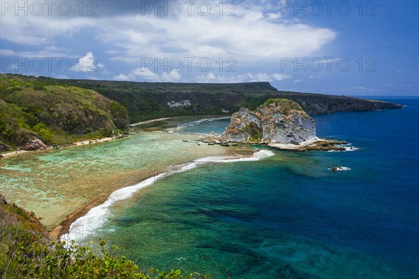 Bird Island