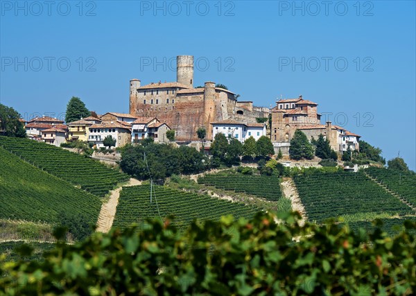 The castle of Castiglione Falletto