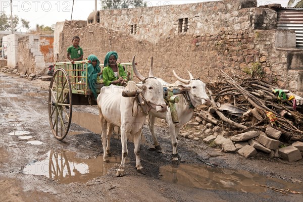 Farmer with his children and an ox cart