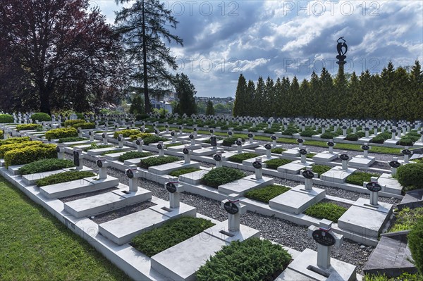 Sodate graves on the Lychakiv cemetery