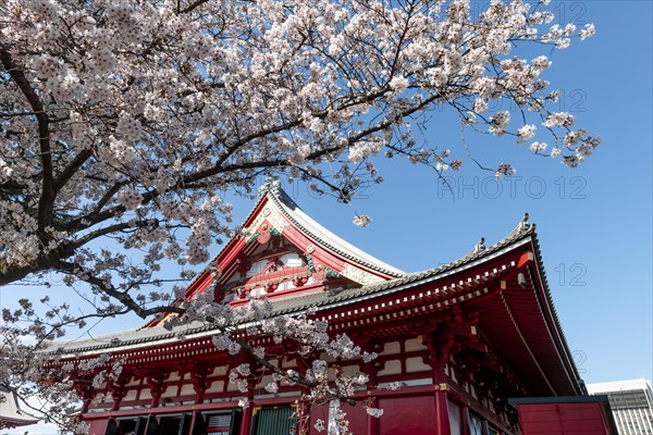 Buddhist temple complex