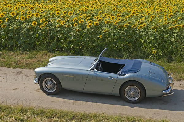 Austin-Healey 3000