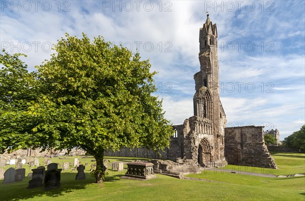 Ruins of St Andrews Cathedral