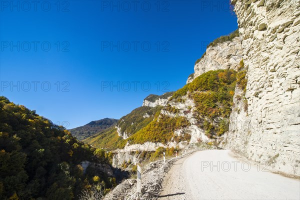 Road through a gorge on the Argun river