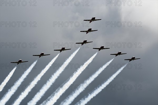 The Canadian Forces Snowbirds aerobatic team air show