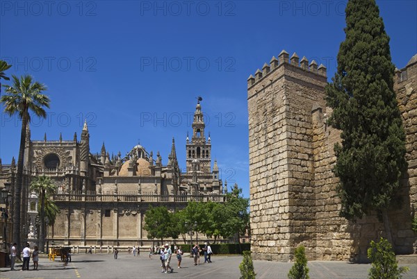 Seville Cathedral and Giralda and Alcazar of Seville