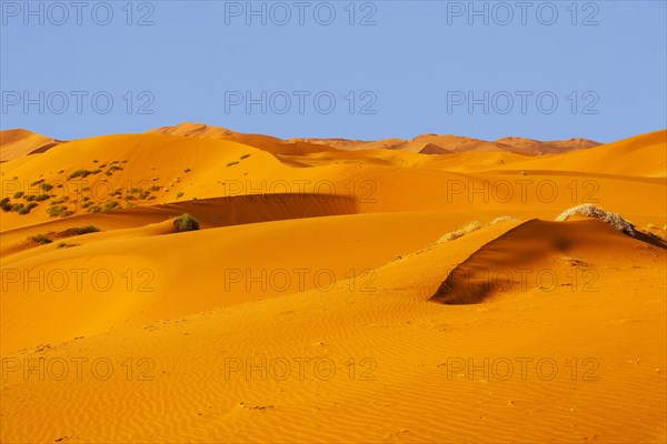 Sand dunes