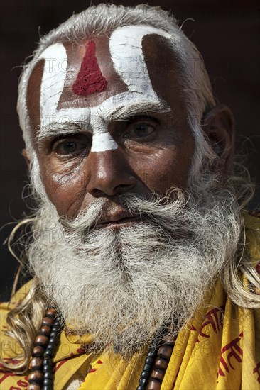 Sadhu