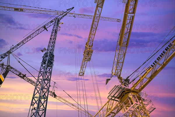 Cranes at Bauma 2013 in evening light