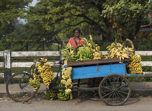 Bananas for sale from a cart