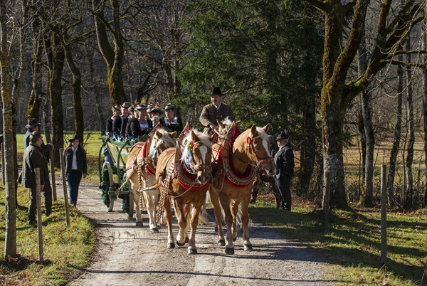 Carriage at Leonhardi ride in Kreuth