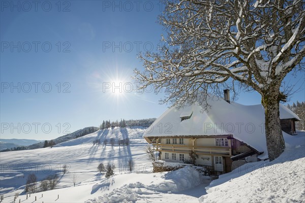 Old Black Forest house and snow-covered landscape