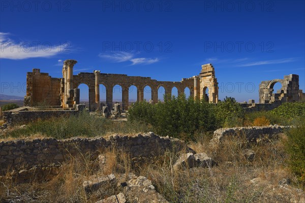 Roman ruins of Volubilis