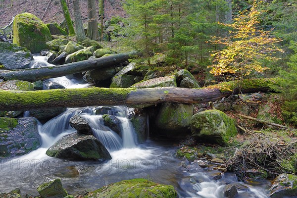 Ilse mountain stream