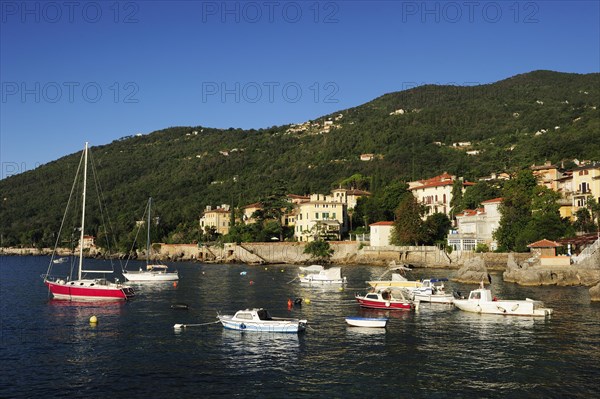 Sailboats moored in the soft morning light