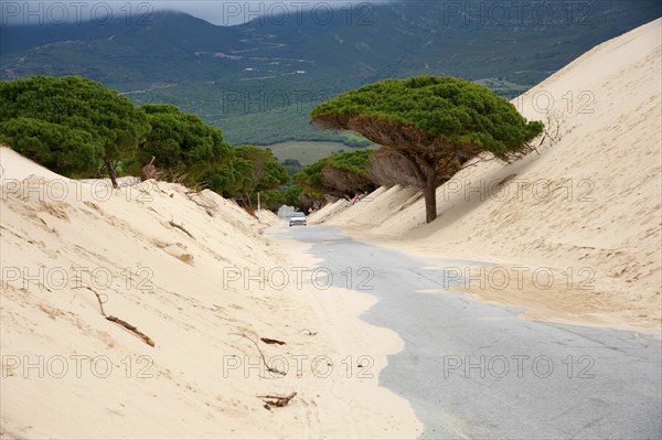 Wandering dune of Bolonia