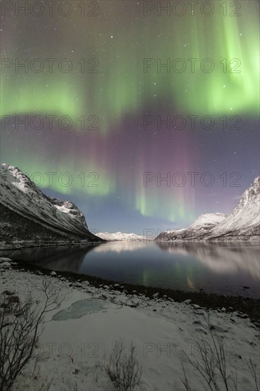 Aurora over the Grotfjord