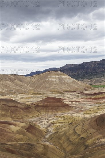 A hill of the Painted Hills